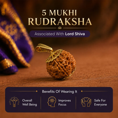 5 Mukhi Nepali Rudraksha (Buy 1 get 1 Free) - Gurunoor
