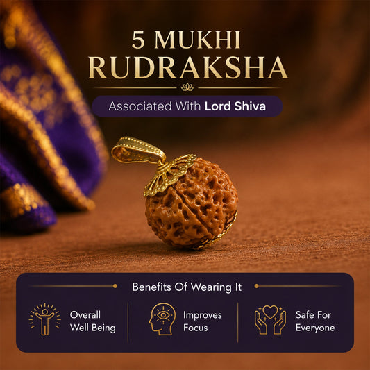 5 Mukhi Nepali Rudraksha (Buy 1 get 1 Free) - Gurunoor