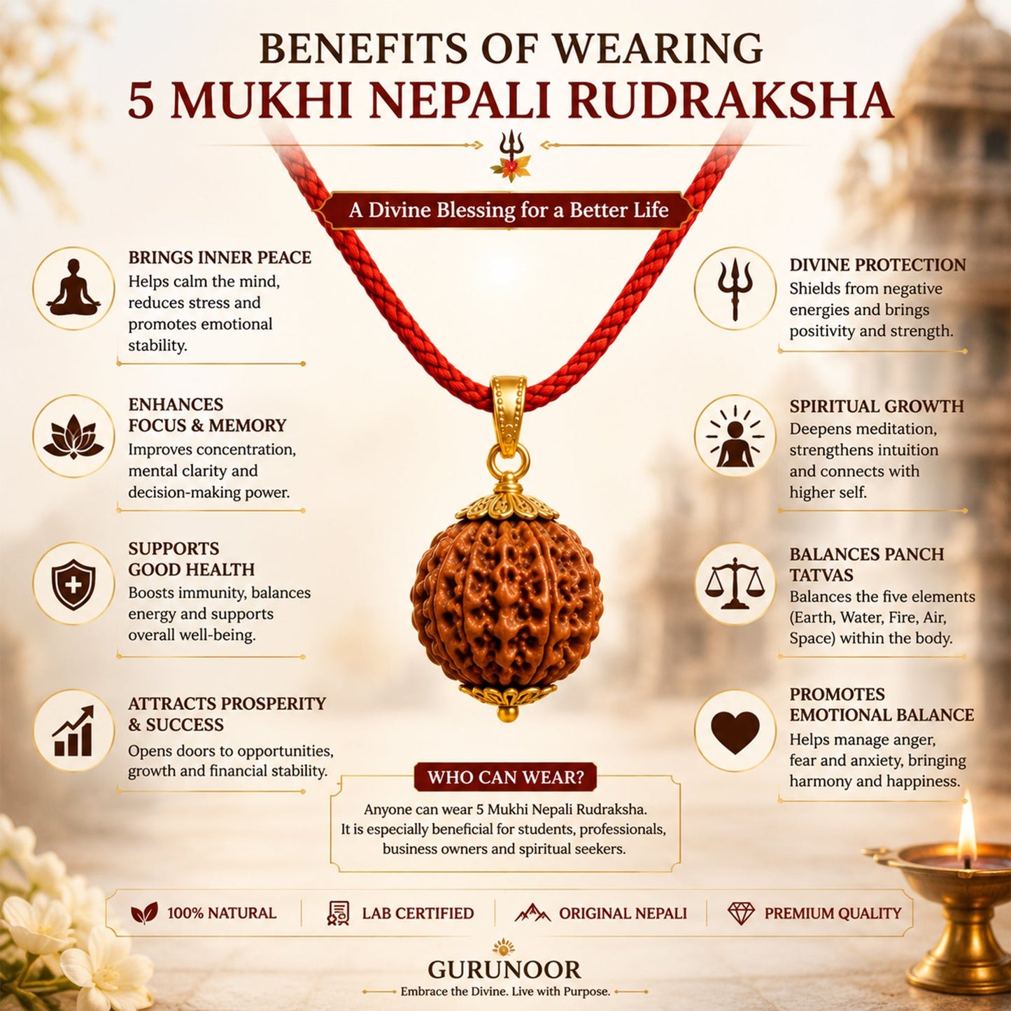5 Mukhi Nepali Rudraksha (Buy 1 get 1 Free) - Gurunoor