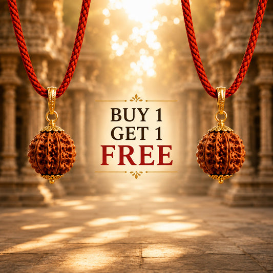 5 Mukhi Nepali Rudraksha (Buy 1 get 1 Free) - Gurunoor