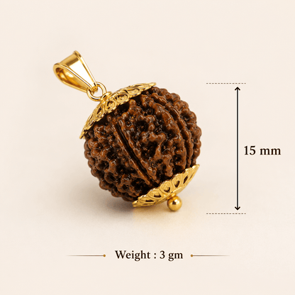 7 Mukhi Nepali Rudraksha - Gurunoor
