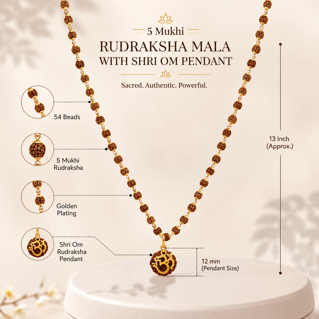 Rudraksha Mala With Shree Om Rudraksha Pendant ( Gold Plated ) - Gurunoor