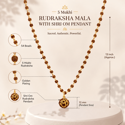 Rudraksha Mala With Shree Om Rudraksha Pendant ( Gold Plated ) - Gurunoor